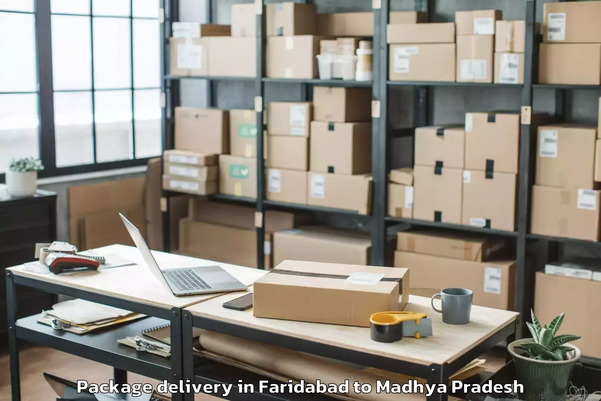 Quality Faridabad to Indore Airport Idr Package Delivery